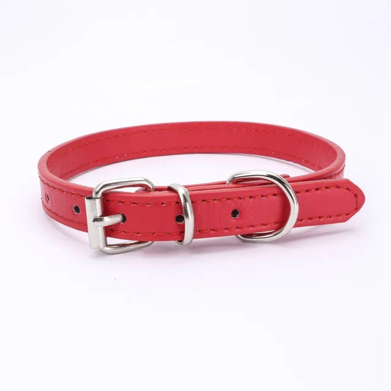 Pet Supplies Dog Collar Alloy Buckle Dog Chain Cat Necklace Size Adjustable for Small and Medium-Sized Dog Collars Dog Supplies